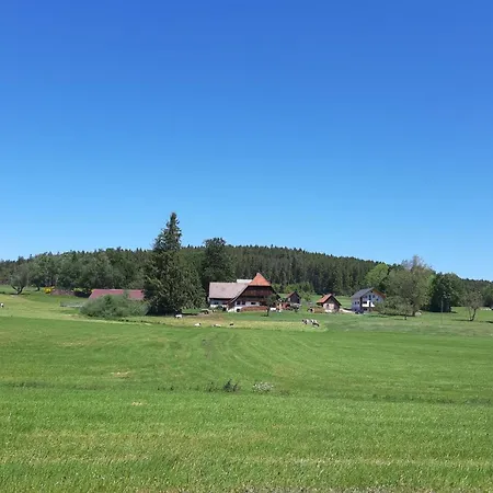 Apartament Sommerau *